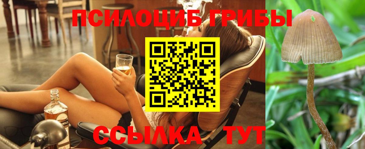 Псилоцибиновые грибы GOLDEN TEACHER Видное