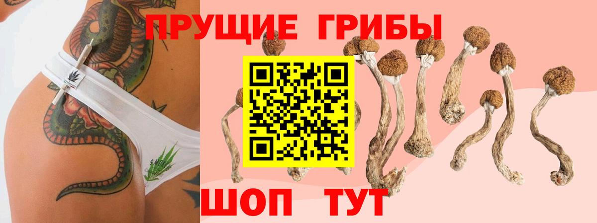 Псилоцибиновые грибы Psilocybine cubensis  Галлюциногенные грибы Psilocybine cubensis  Вход с VPN  Видное 